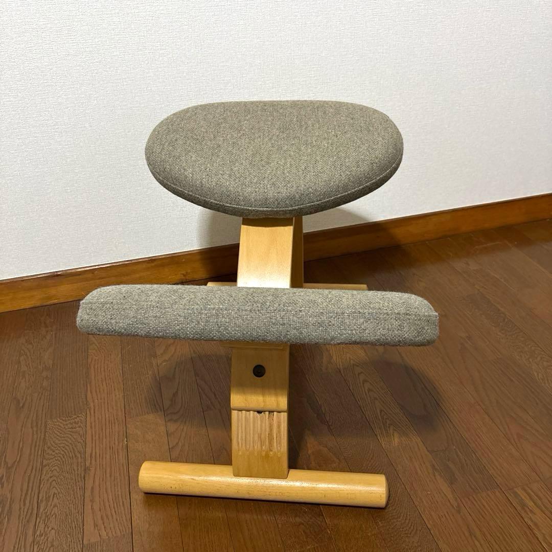 【良品】balans Easy バランスイージー Rybo バランスラボ