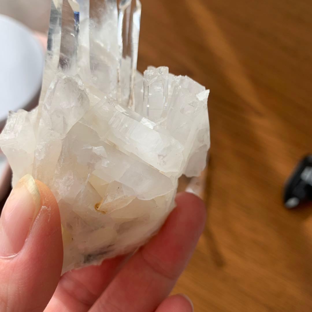 レムリアンシード