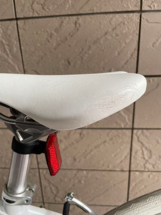 FUJI PALETTE オーロラホワイト　サイズ15(xs) その他付属品あり