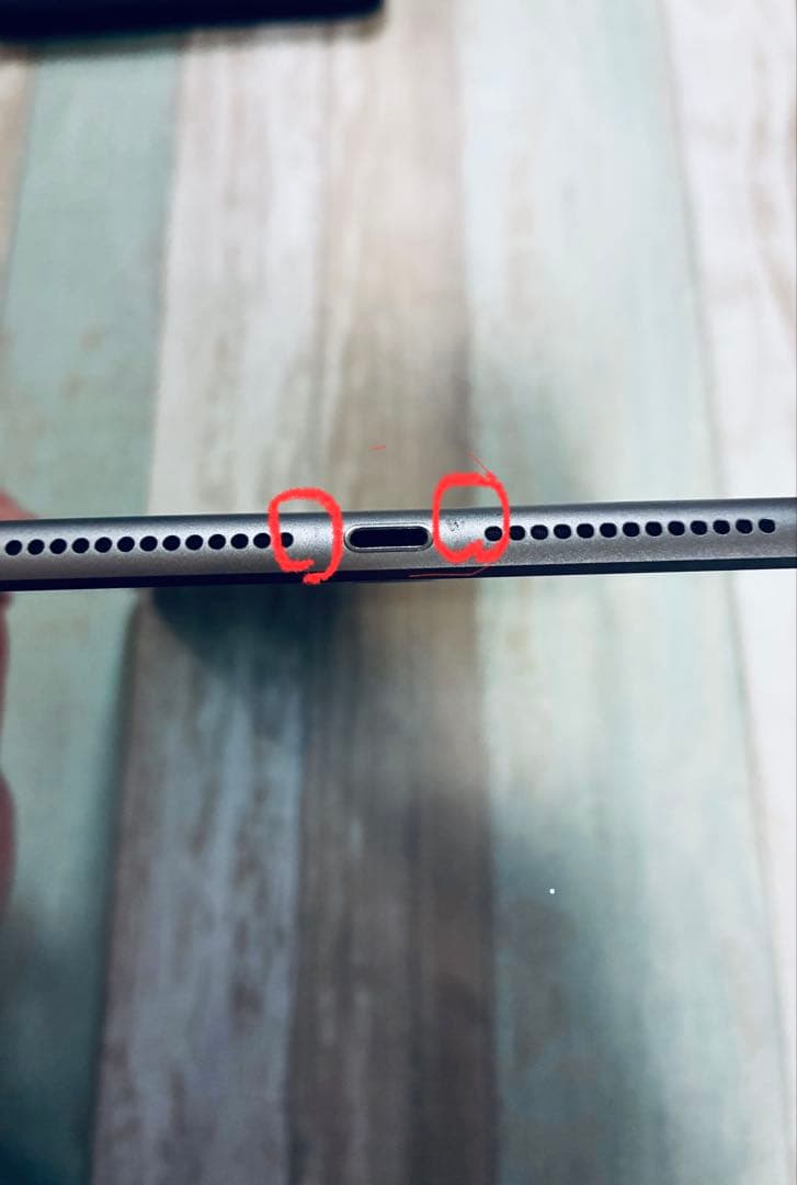 ✨シーズー✨さん専用