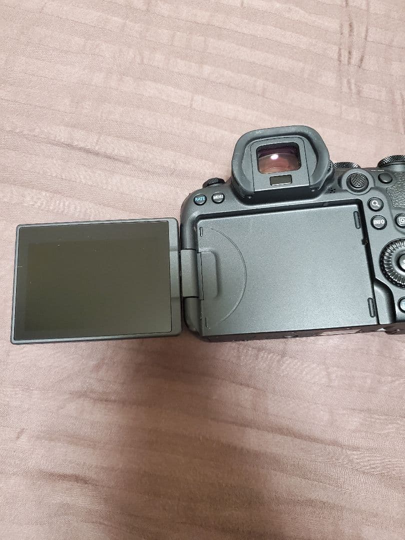 デジタルカメラ Canon EOS R6 Mark2