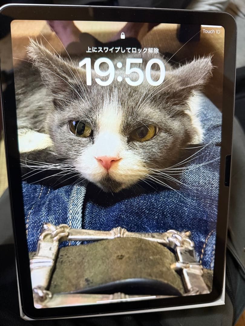 Apple iPad Air スペースグレイ 本体