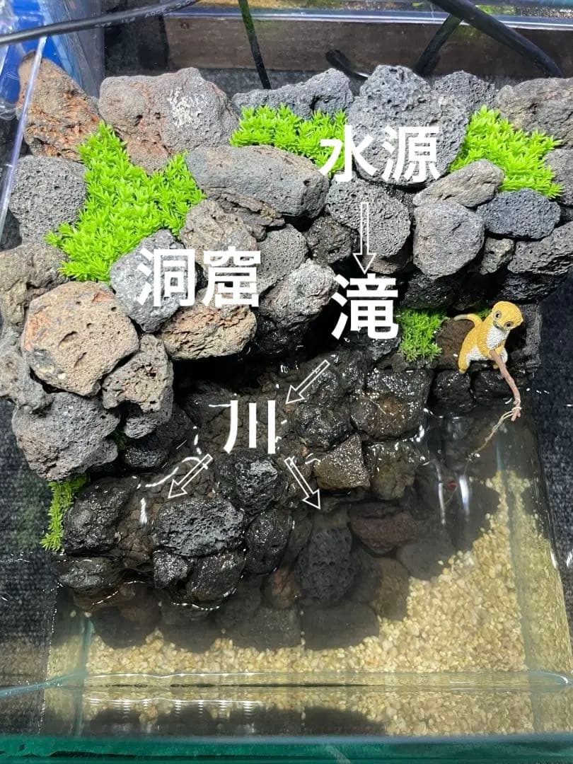 アクアテラリウム　　溶岩石　No.3　※傷あり特価※