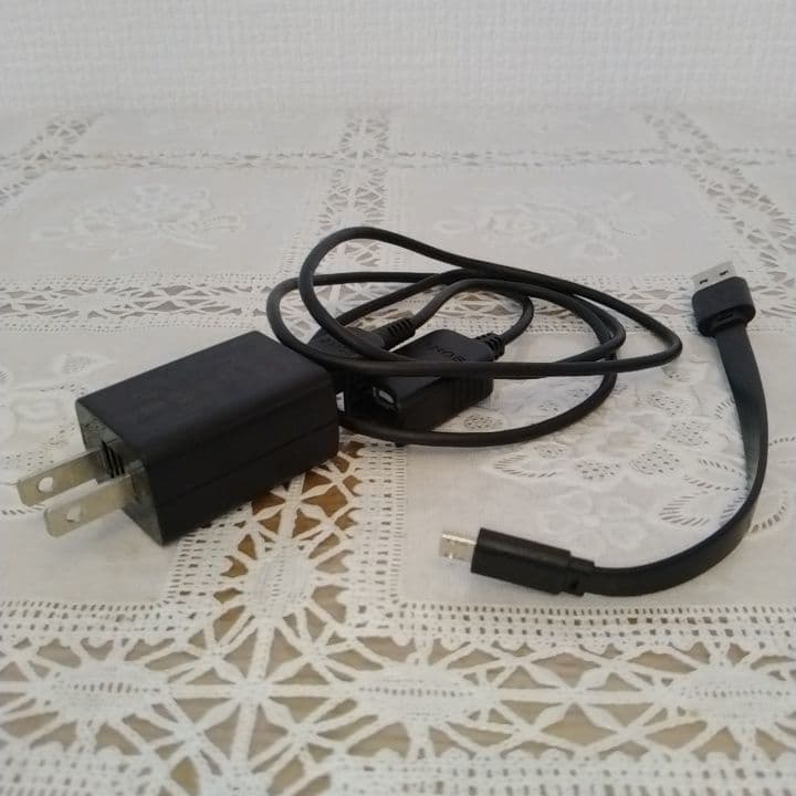 SONY HDR-CX480 ビデオカメラ 本体とバッテリー2個セット