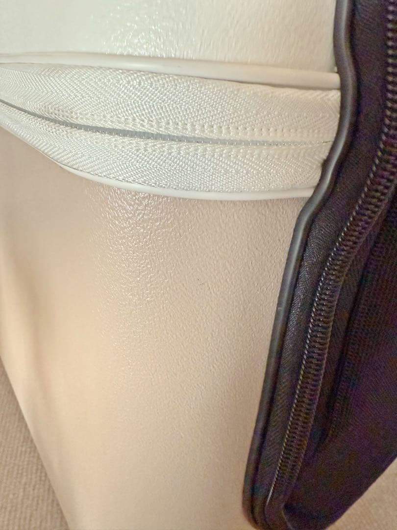 petico ペットキャリー Lサイズ