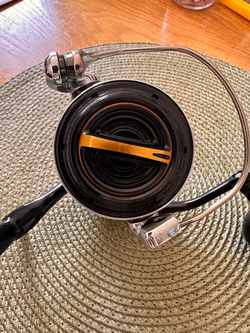 リール SHIMANO 20 STELLA SW 6000HG