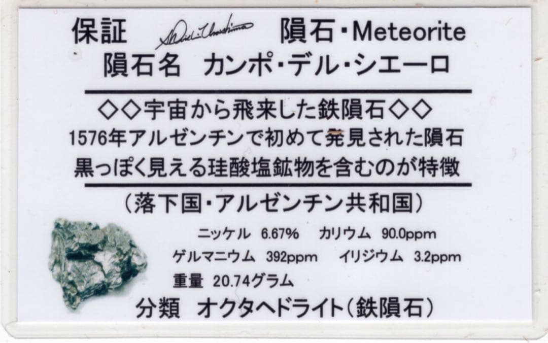 カンポデルシエロ隕石 隕石　原石　Campo Del Cielo 20.74g