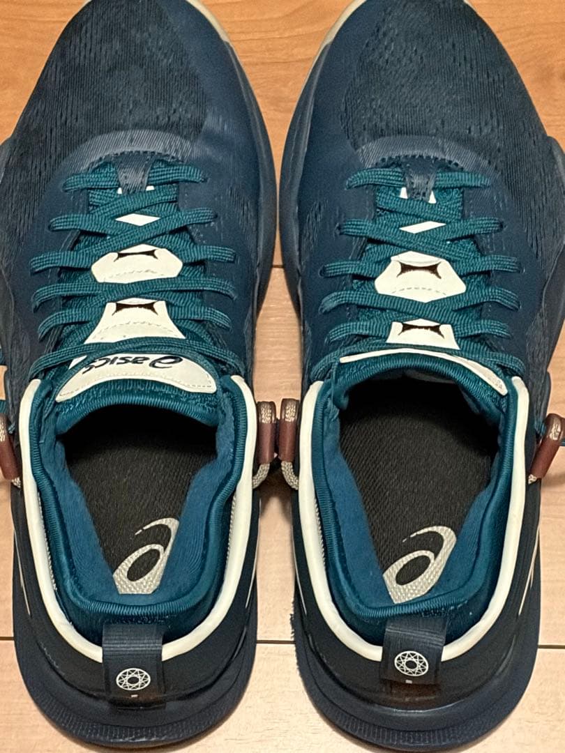 美品 ASICS NOVA SURGE LOW 2 バッシュ 26センチ