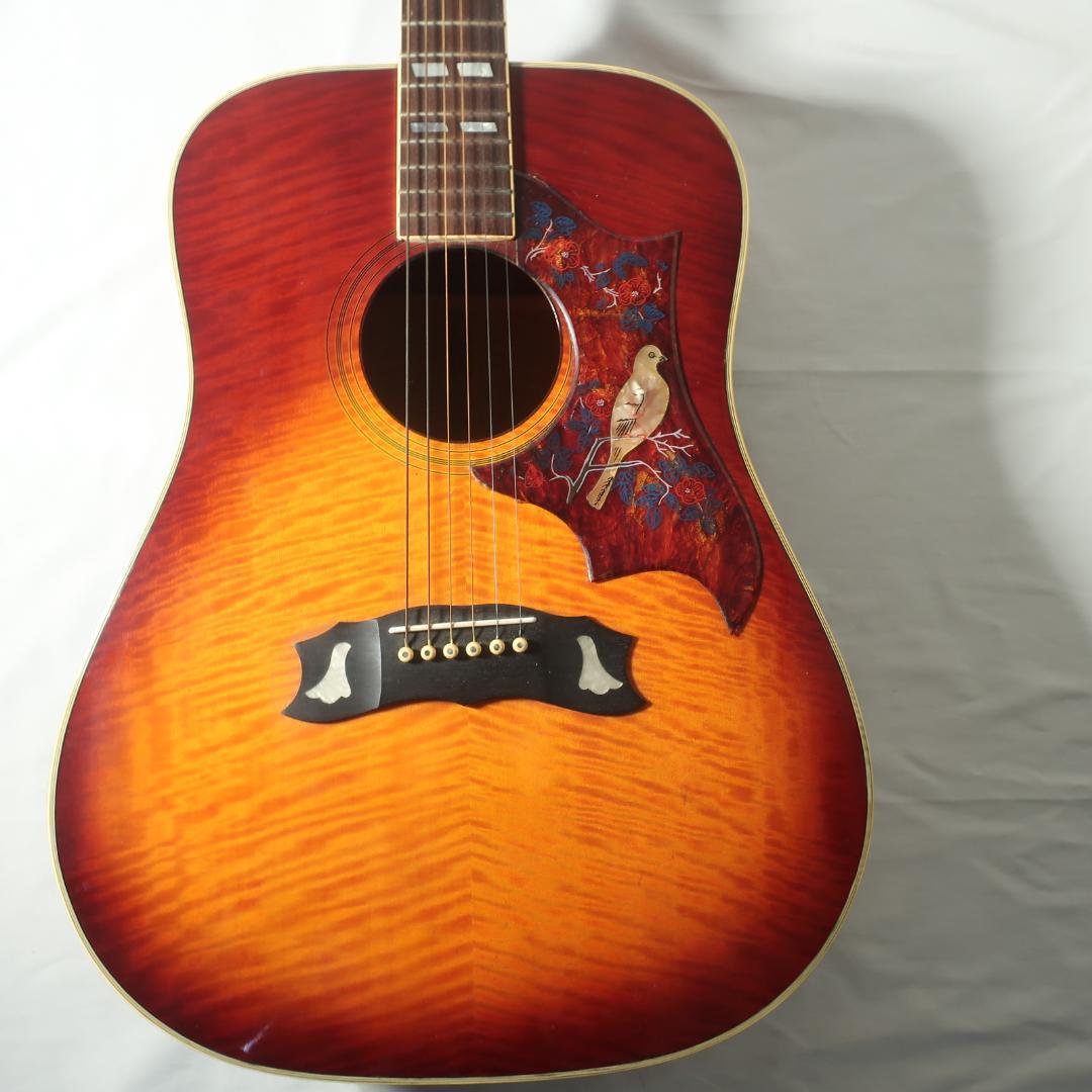 JAGARD TB-350 ギター ハミングバードDOVEタイプ ハードケース付