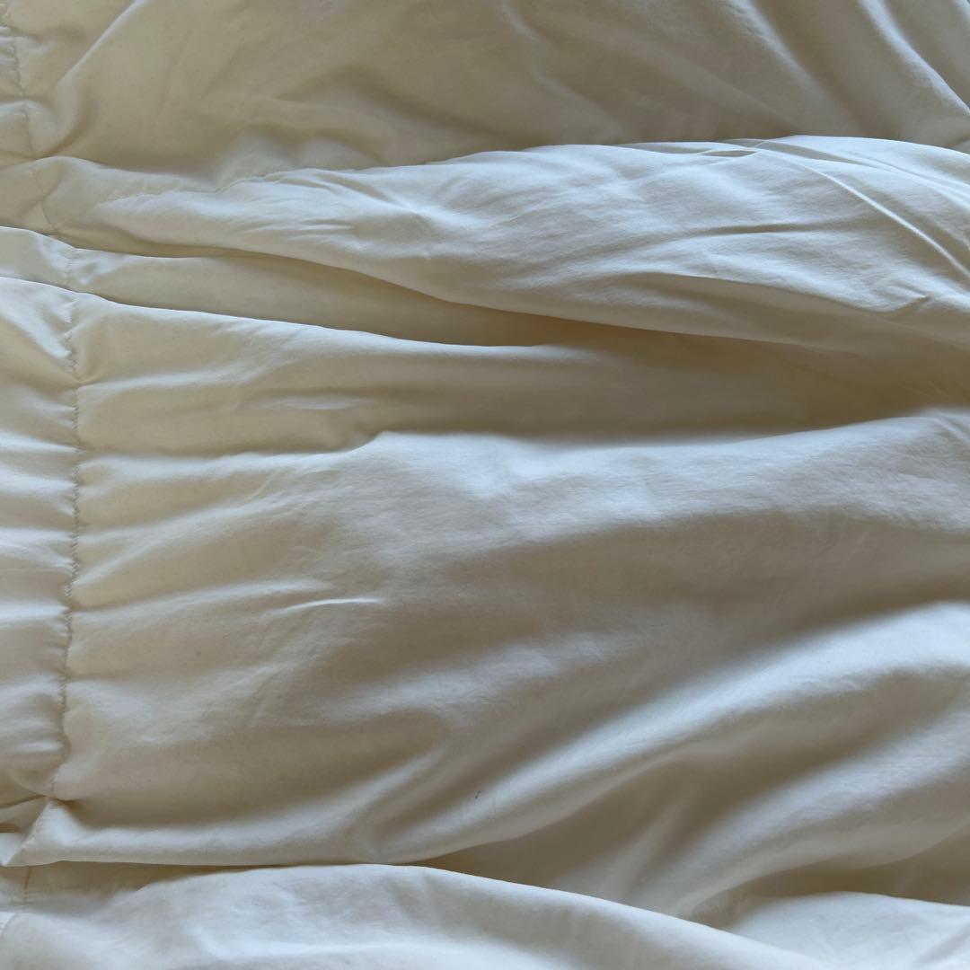 最高級グランドマザーグースダウン！ダブル！クリーニング済み！