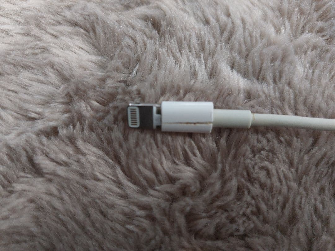 iPad Pro 10.5インチ 256GB +Apple Pencil