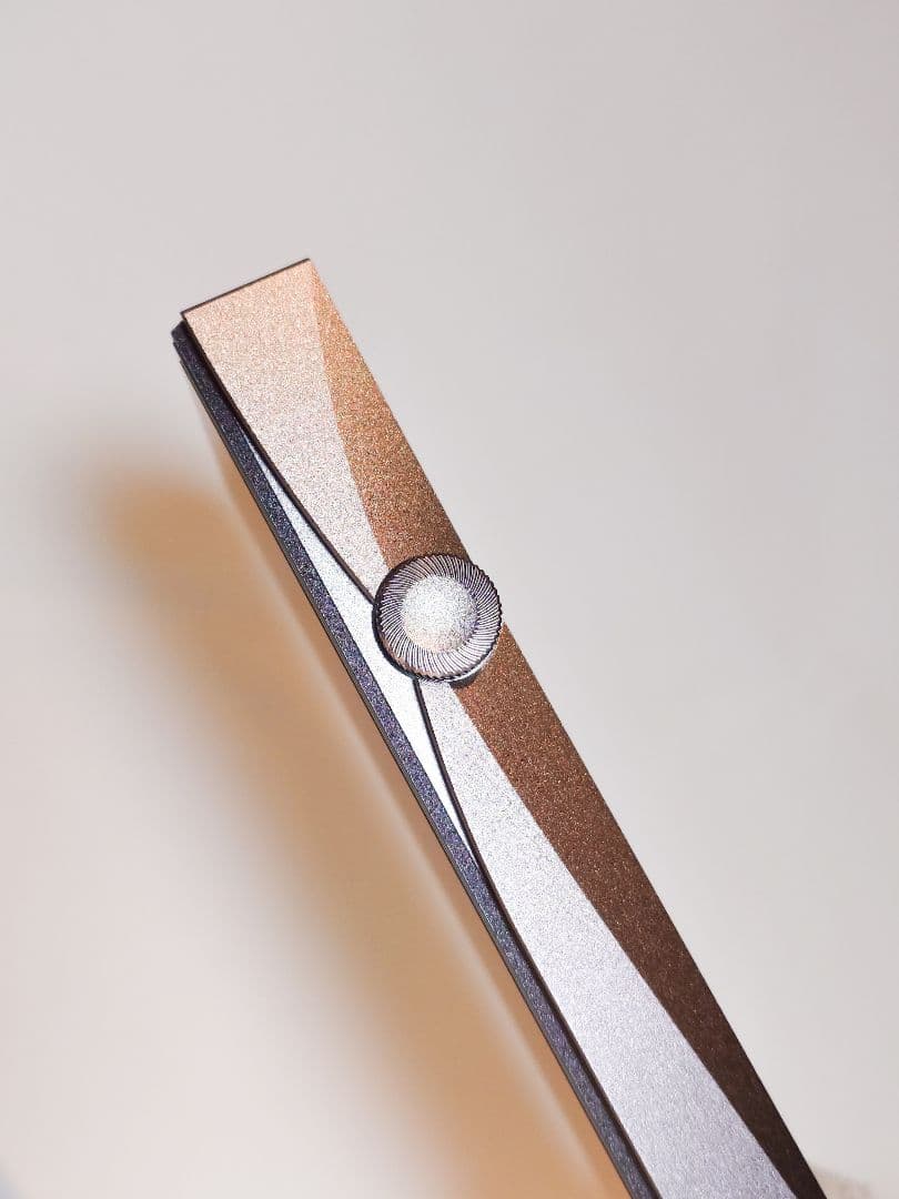 【最終値下げ】Astell&Kern「A&futura SE100」