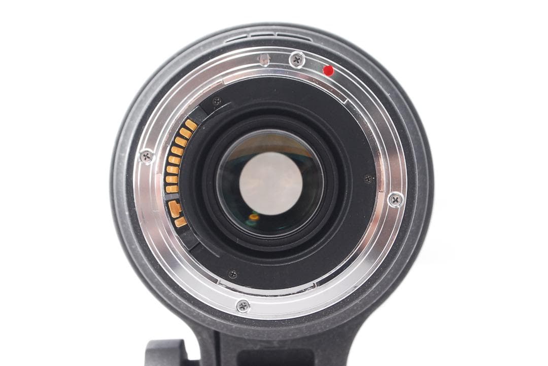 ✨超望遠レンズ✨SIGMA 50-500mm F4-6.3 APO Canon