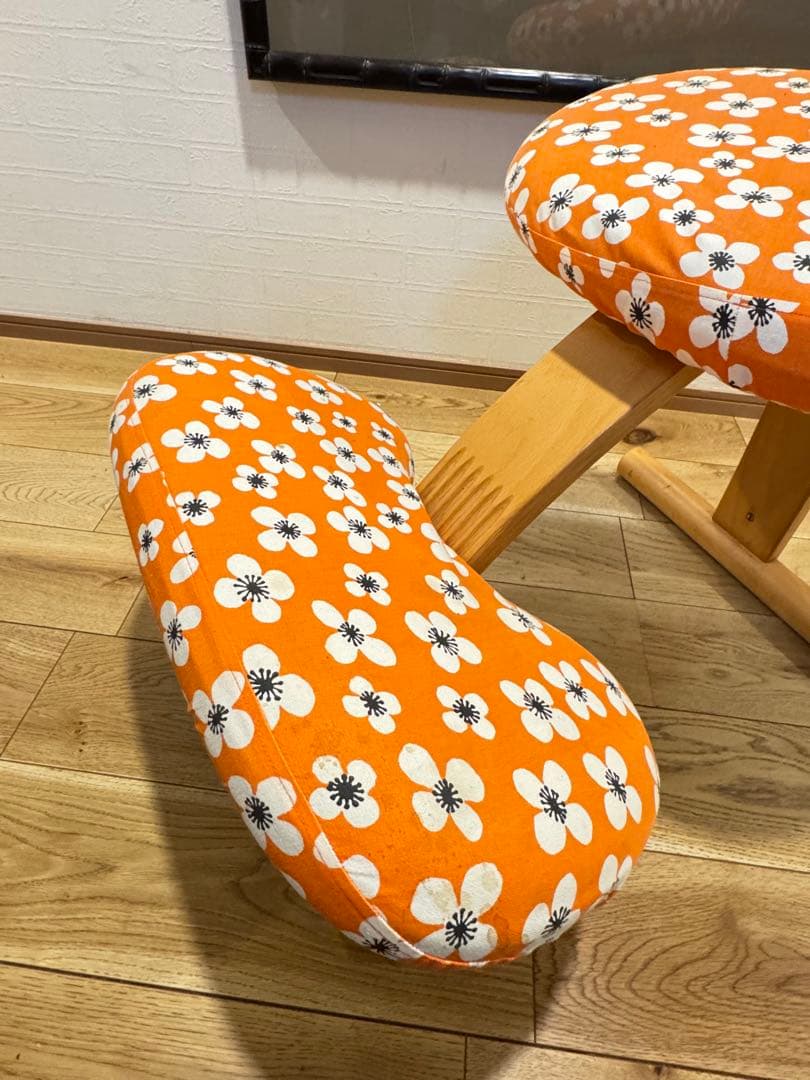 【美品】Rybo Balans EASY バランスチェア 金ロゴ カバー付