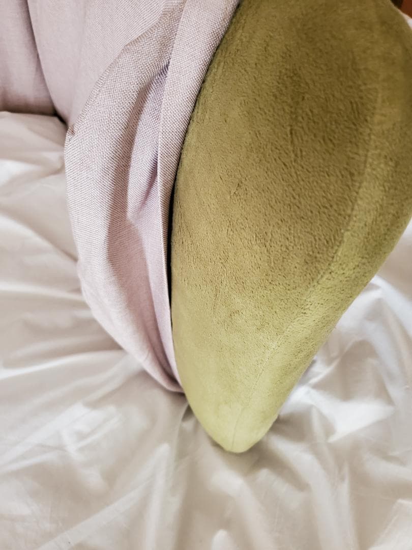 セルタン 座椅子+カバー２枚: 折畳み リクライニング 高反発 和楽チェア