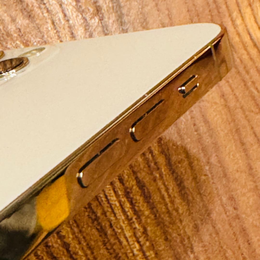 iPhone 12 Pro ゴールド 256GB SIMフリー【カメラ訳あり】