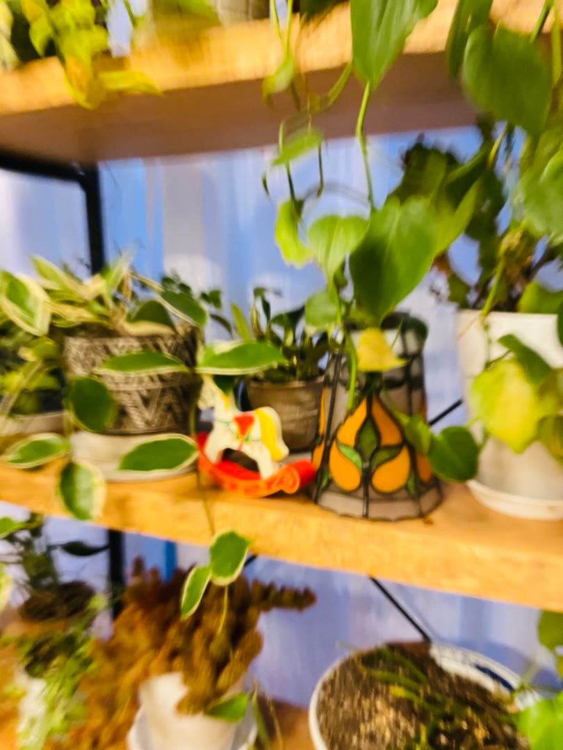 iPhone 12 Pro ゴールド 256GB SIMフリー【カメラ訳あり】