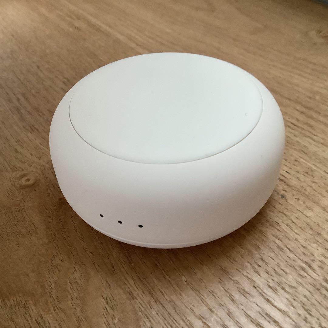 Anker アンカー Sleep A30 ホワイト ワイヤレスイヤホン ホワイト