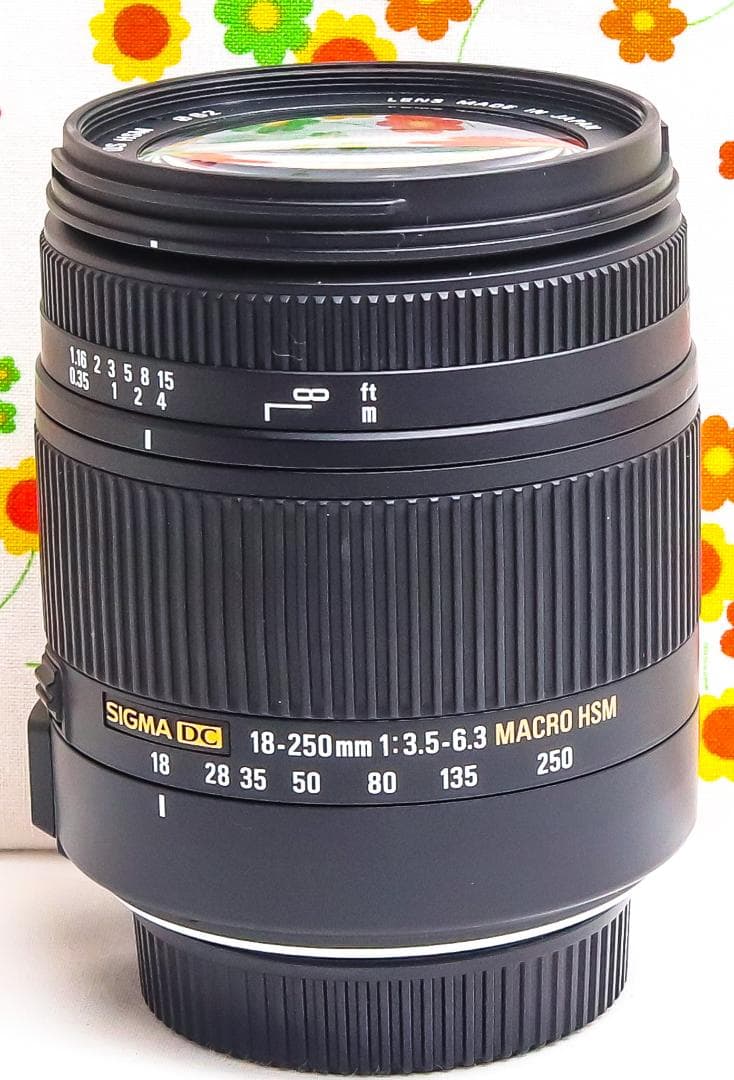 美品 シグマ 18-250mm DC OS HSM ☆ニコン用☆高倍率レンズ
