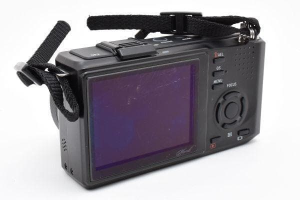 シグマ SIGMA DP2 Merrill