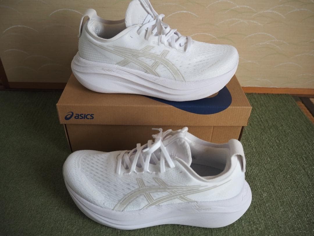 ASICS GEL-NIMBUS 27　ゲルニンバス27 27.0cm