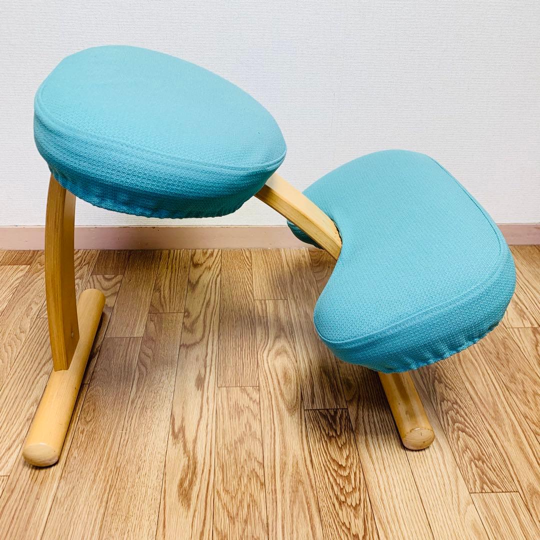 バランスチェア イージー カバー付 サカモトハウス (現バランスラボ）調節ガイド