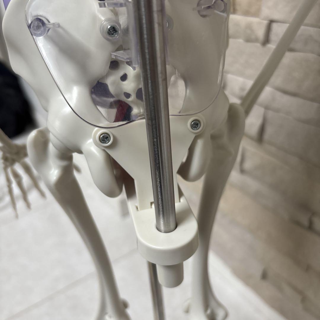 【美品】DEAGOSTINI おしゃべりガイコツ　ホネッキー