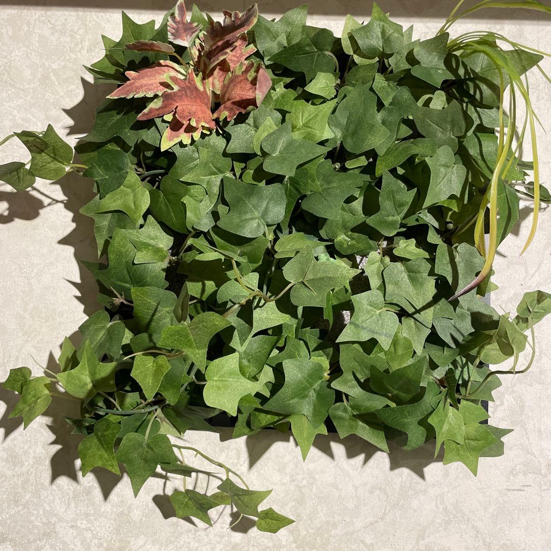 壁掛けウォールグリーン 観葉植物 Wall Green Decor 光触媒 抗菌