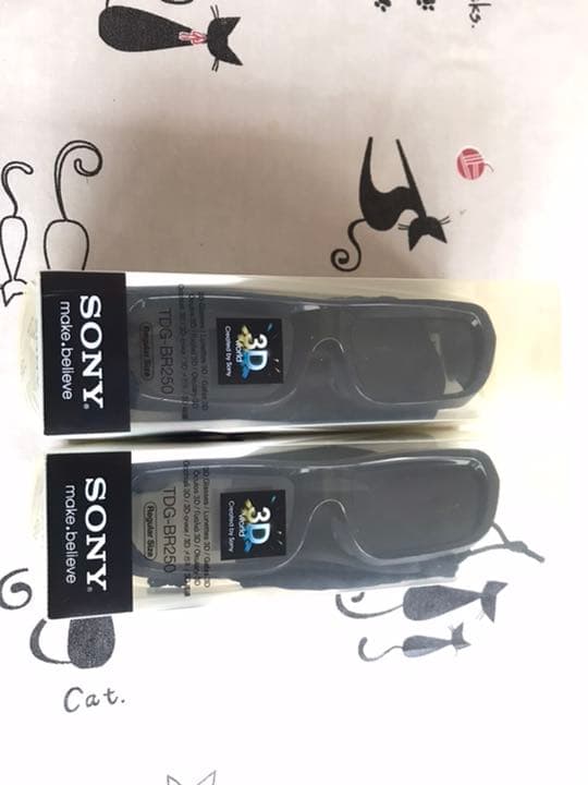 その他 SONY TDG-BR250