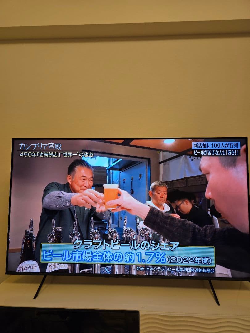 へ*と様 ハイセンス 65E7H 2024年製　細い縦線と横線あり　手渡しOK