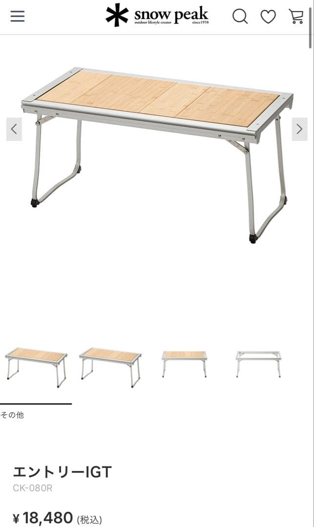  peak エントリーIGT 収納バッグ付き