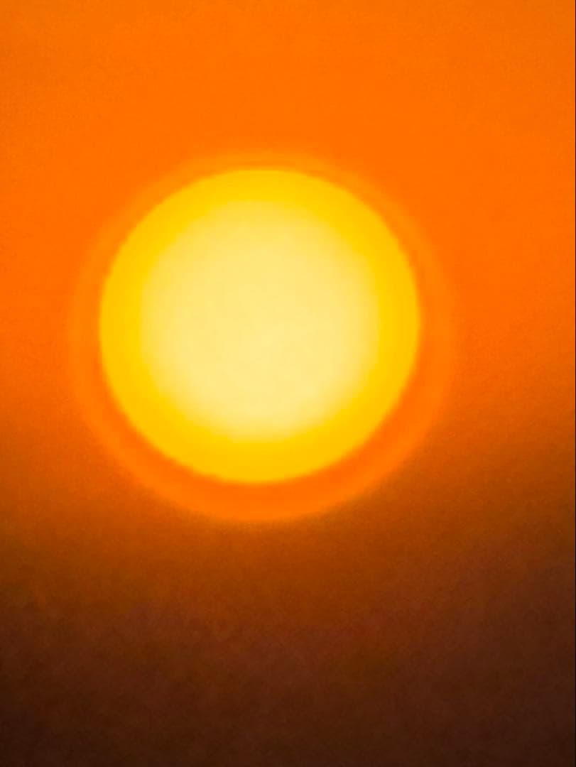 確認用　大雪ドライブ　長浜城　愛犬　玉玉　トラ