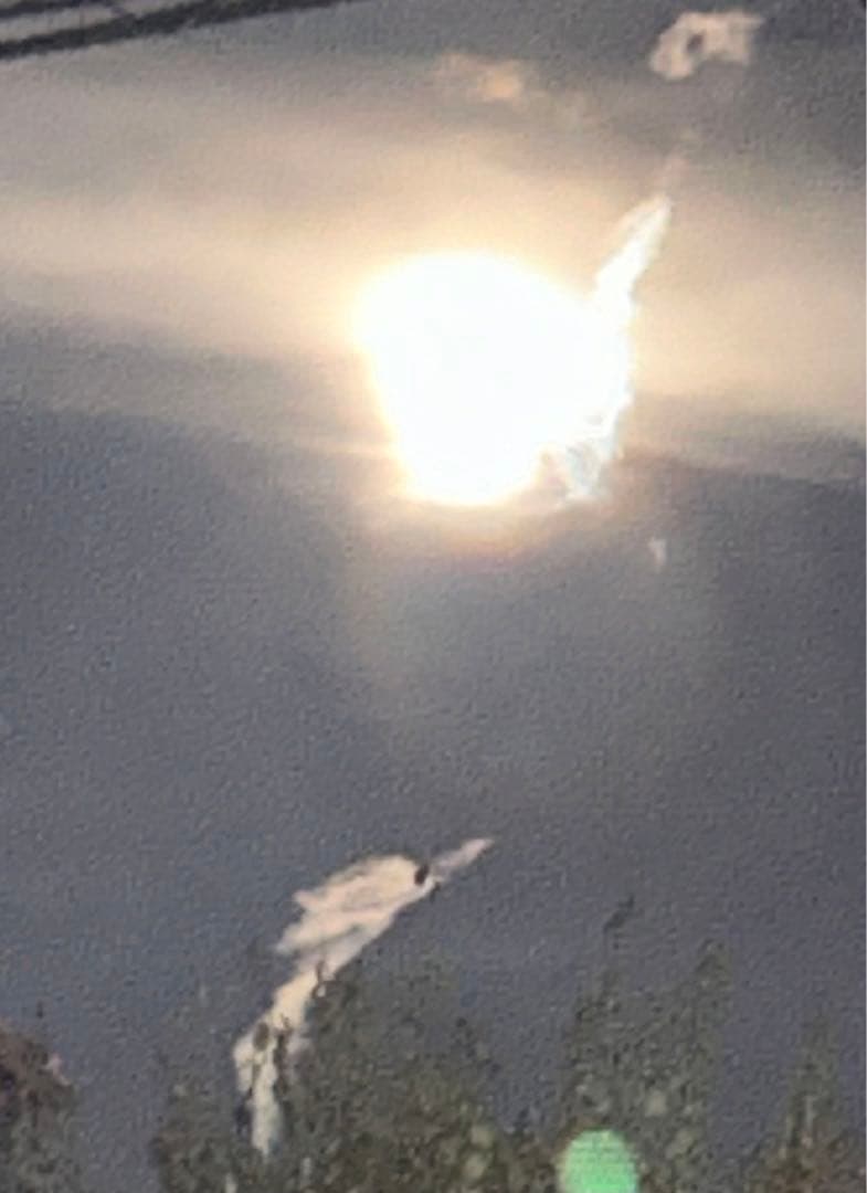 確認用　大雪ドライブ　長浜城　愛犬　玉玉　トラ