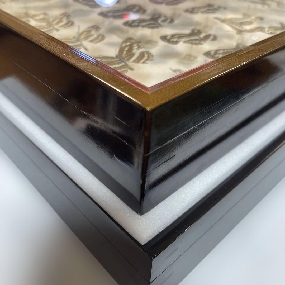 蝶標本、イシガケ-イチモンジ-ミスジの仲間46匹