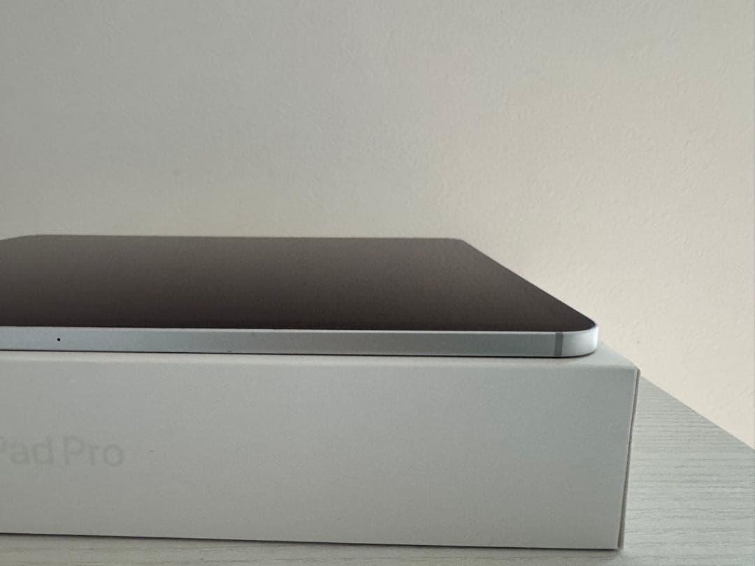 iPad Pro 12.9インチ第6世代Wi-Fi +Cellular 1TB