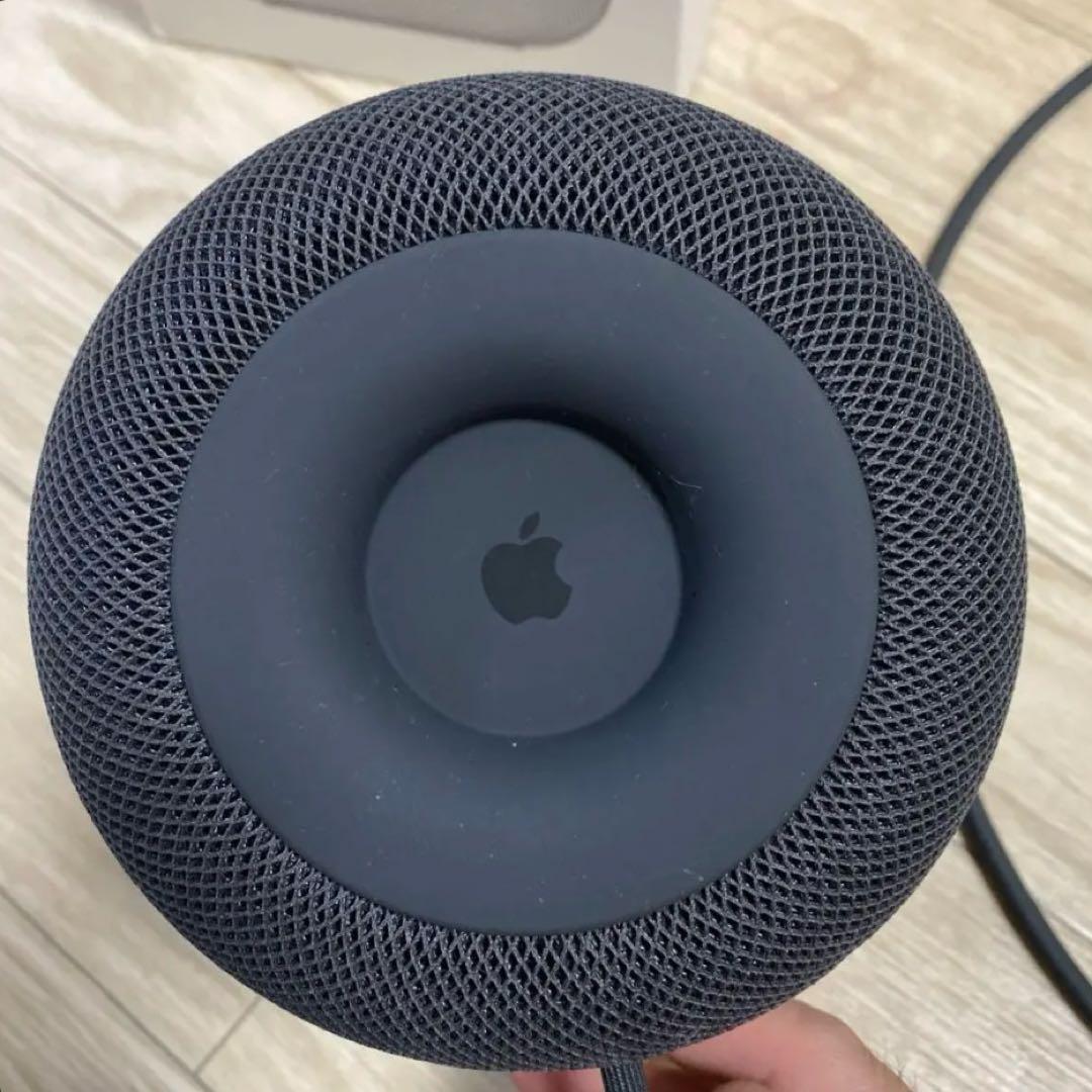 Apple Pod スペースグレー 本体 ジャンク