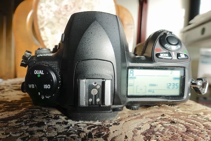 ニコン D200 CCD名機 実写作例有り