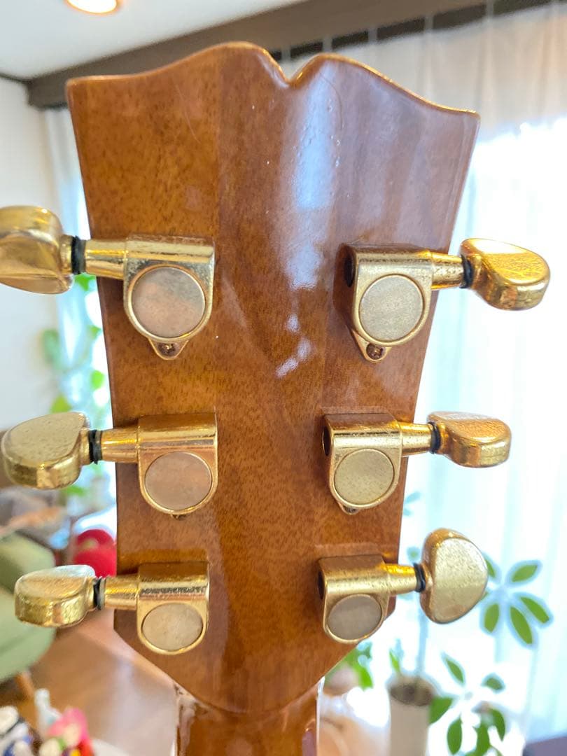 Crescent オール単板 CA-D-85BS L.R.Baggs lyric