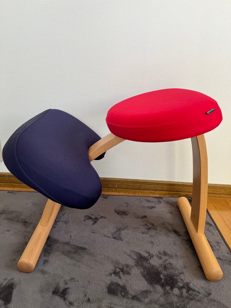 バランスラボ、サカモトハウス　バランスチェア　バランスイージー　カバー付き