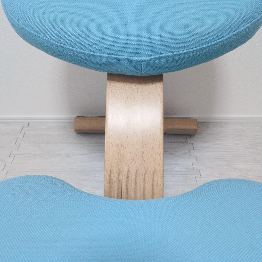 ✨️美品✨️Balans EASY バランスイージー　チェア カバー、説明書付き