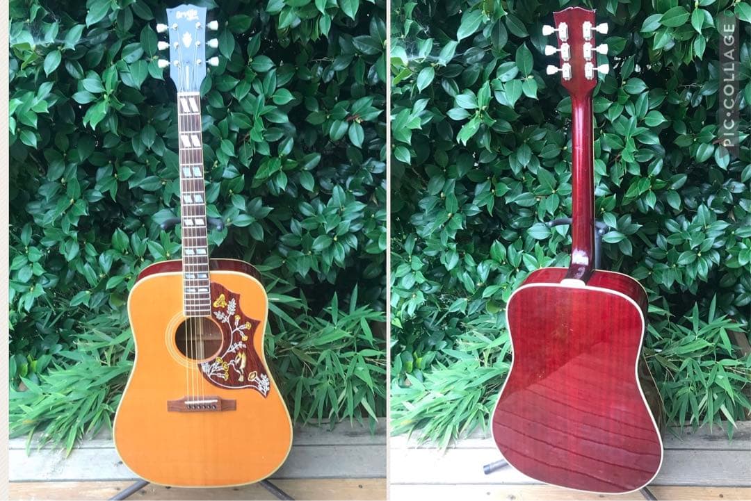 Orville by Gibson HB W/PU byギブソン