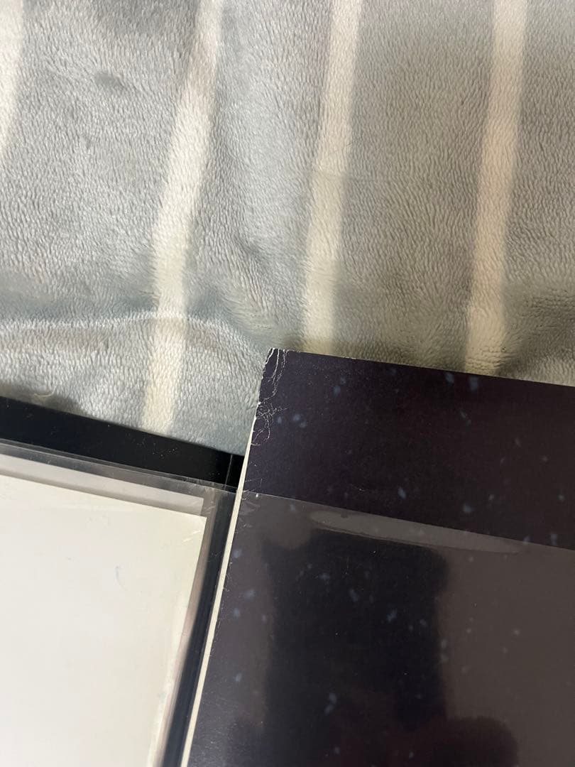 新海誠　秒速5センチメートル　B2ポスター 桜花抄