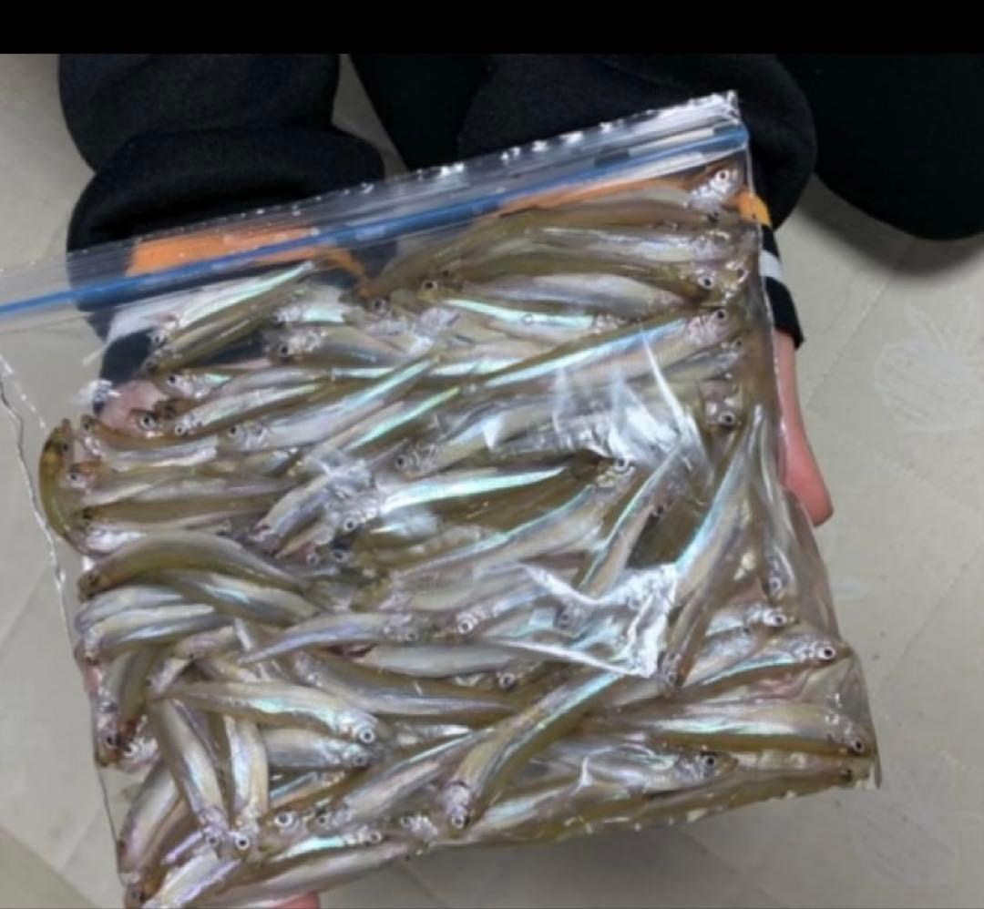 ステンレスワカサギ穂先