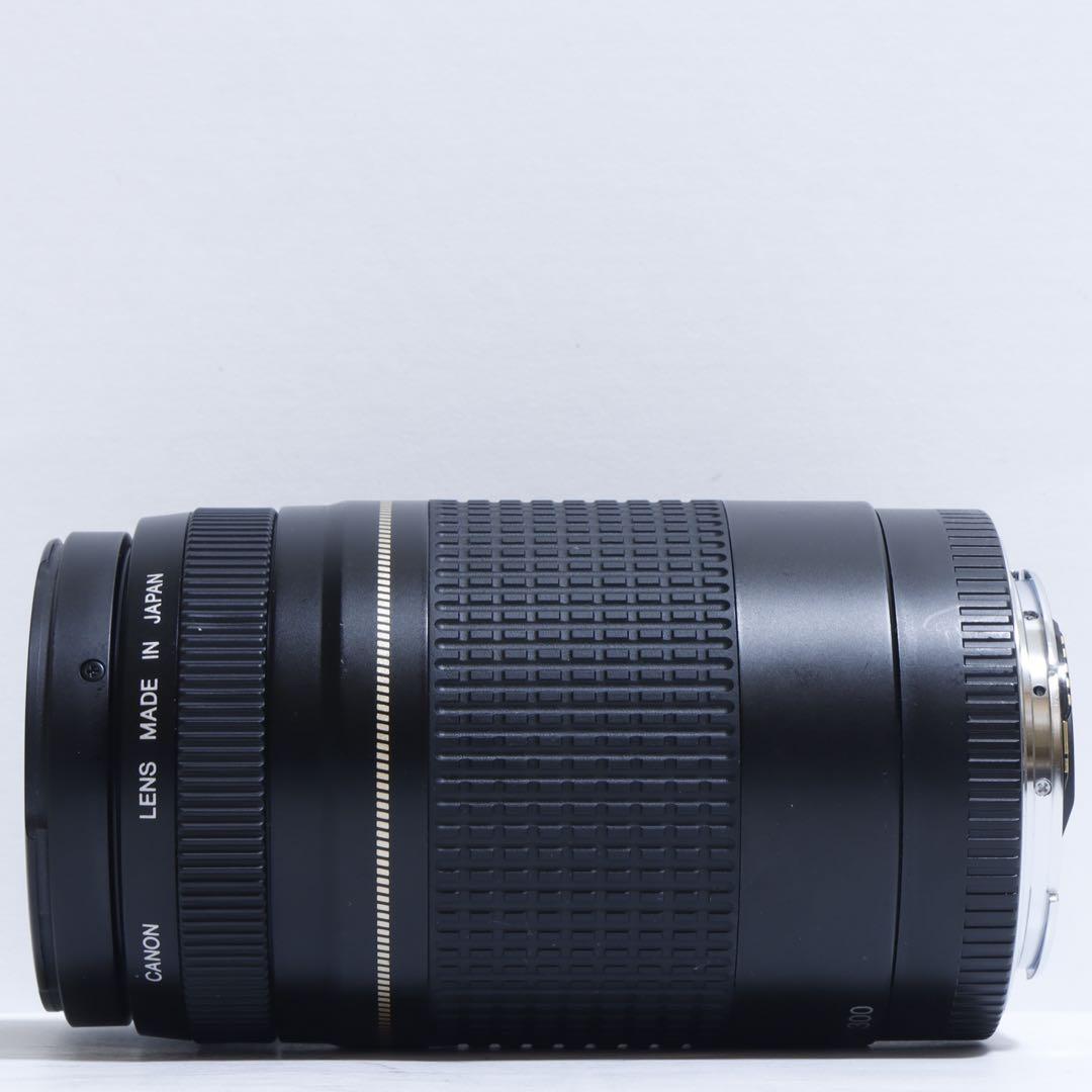 ◇超望遠&高速AF◇Canon純正 75-300mm II型 超望遠レンズ!!◇