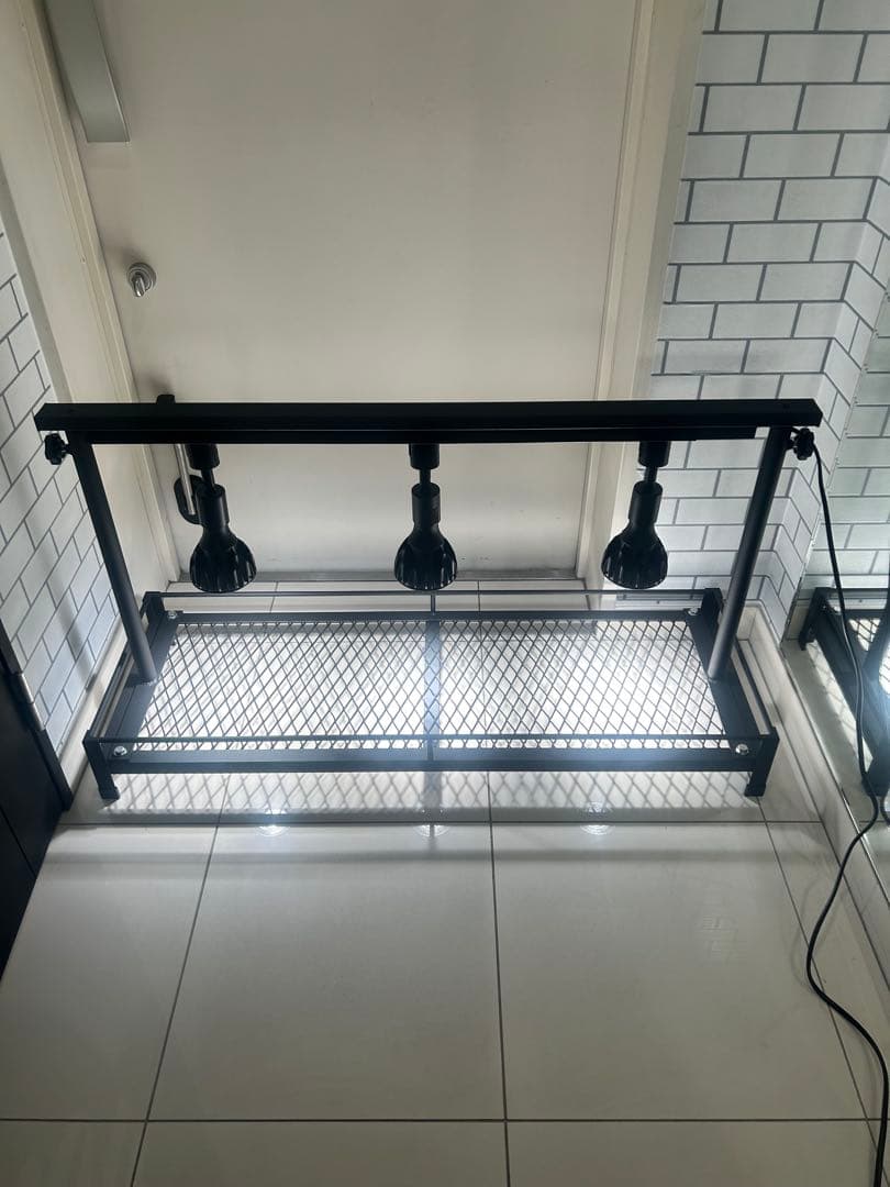 植物棚　アガベ　シーザー　ハデス　パキプス　グラキリス　白鯨　サボテン　塊根植物