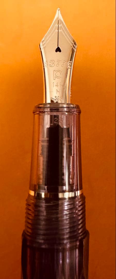 さぼてんくん　紫雲　富士旬景　#3776センチュリー　M字（中字）