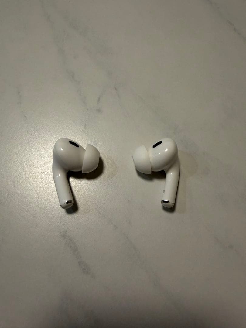 AirPods Pro（第2世代）本体＋Lightning充電ケース