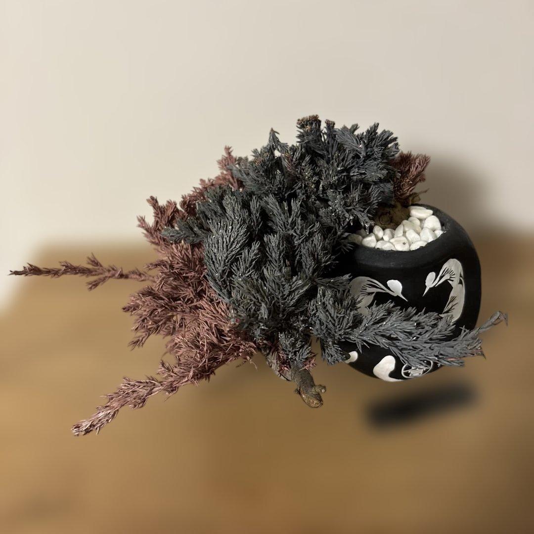 re盆栽　ドライ盆栽　達磨　TOUFU東京