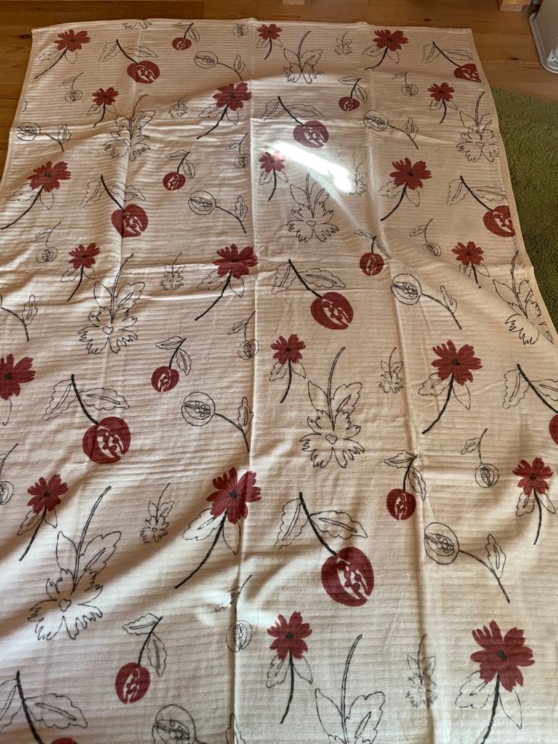 2枚セット【シビラ】リブレ　シール織綿毛布　140×200 R B