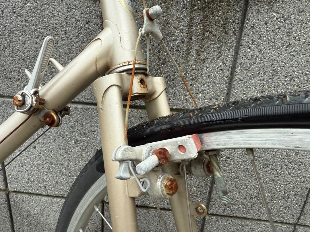 ブリヂストン ユーラシア（ジャンク）